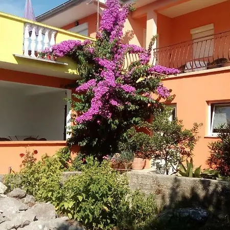 Apartment Mirjana Petrcane