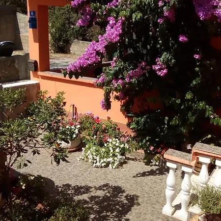 Apartment Mirjana