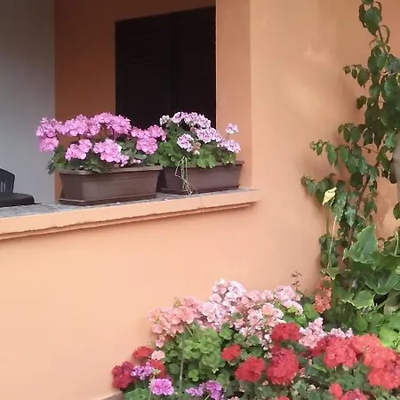 Mirjana *