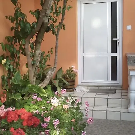 Apartment Mirjana Petrcane