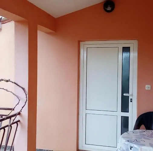 Mirjana * 佩特坎内
