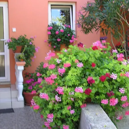 Apartament Mirjana *
