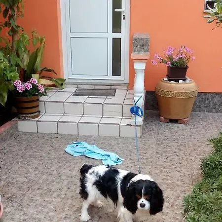 Mirjana Apartament *